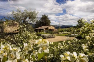 borgo-del-cabreo-fiori-esterni